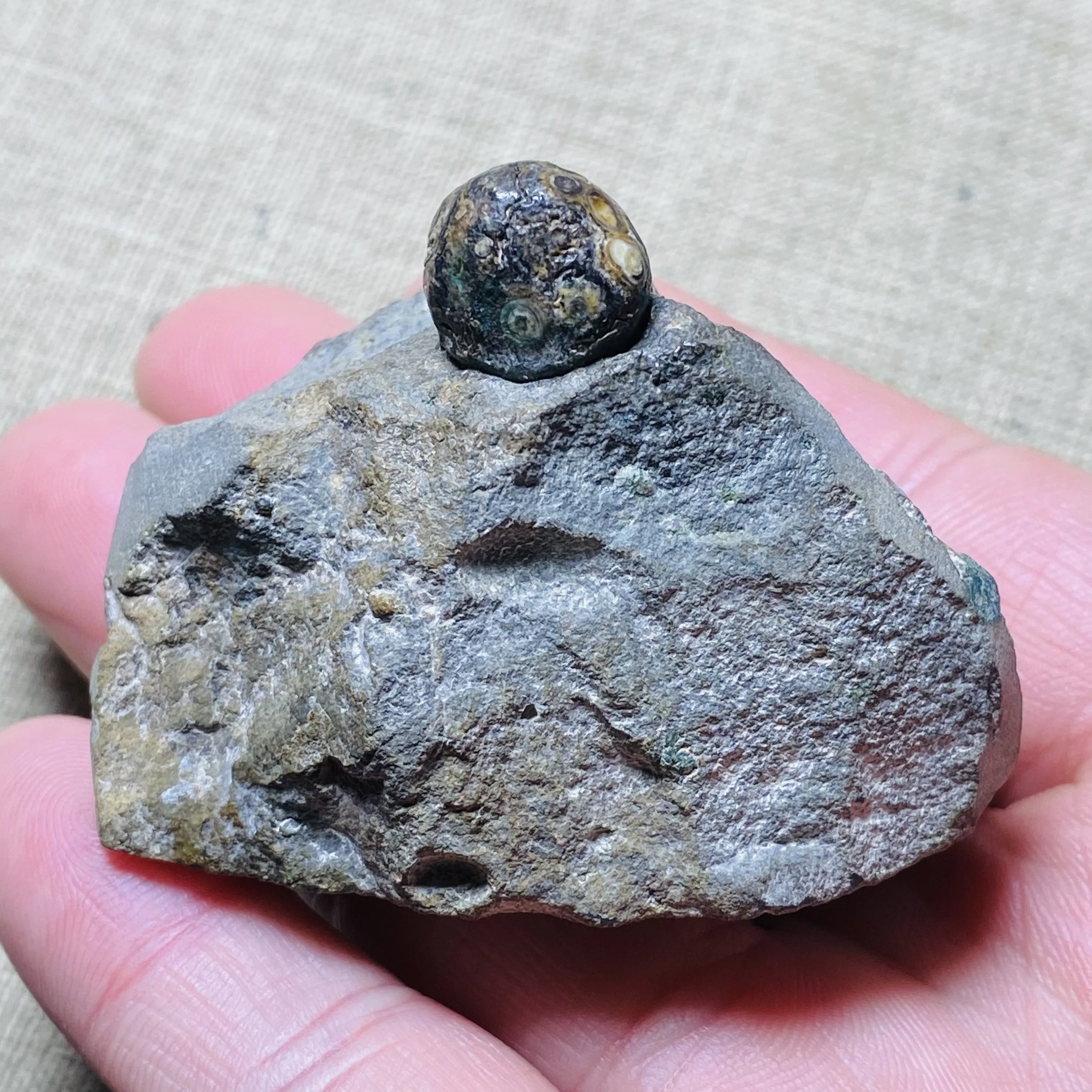 Natural Gobi Eye Agate Stone Specimen Rare Collectible Mineral Home Decoration Gift - view 6