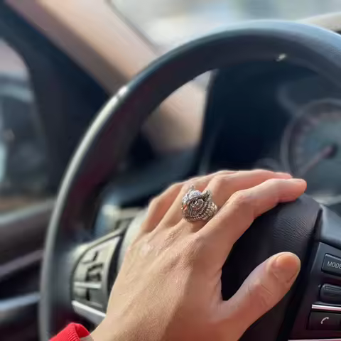 Buyee 925 Sterling Silver Male Big Size Ring Finger Owl Open Ring for Women Men Fashion Animal Punk Rock Fine Jewelry Circle