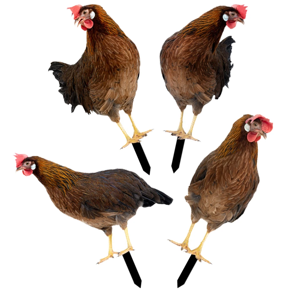 

Garden Ornaments Rooster and Hen Decoration Plug-in Cock Yard Sign Stakes Lawn Acrylic Decorations