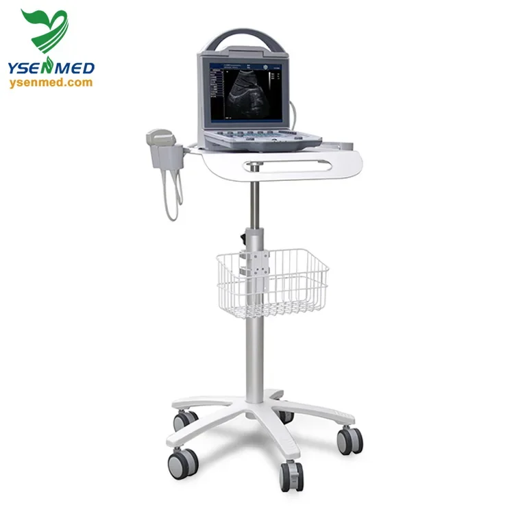 Selling well portable ultrasound YSB5600 high quality digital portable B/W ultrasound machine