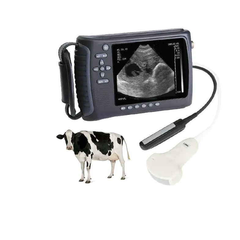 

Дешевая ручная электронная машинка для животных, коров, Нэнси ультразвук