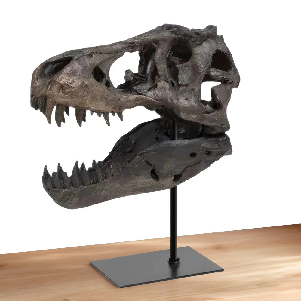 

Фигурка-реплика окаменелости тираннозавра Рекса с подставкой, статуэтка черепа, скульптура головы, подарок для детей и взрослых