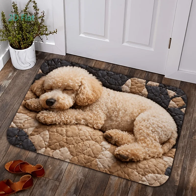 Sleeping Poodle Dog Plaid Print Doormat Non Slip Pet Room Front Door Floor Mat Cute Animal Decor