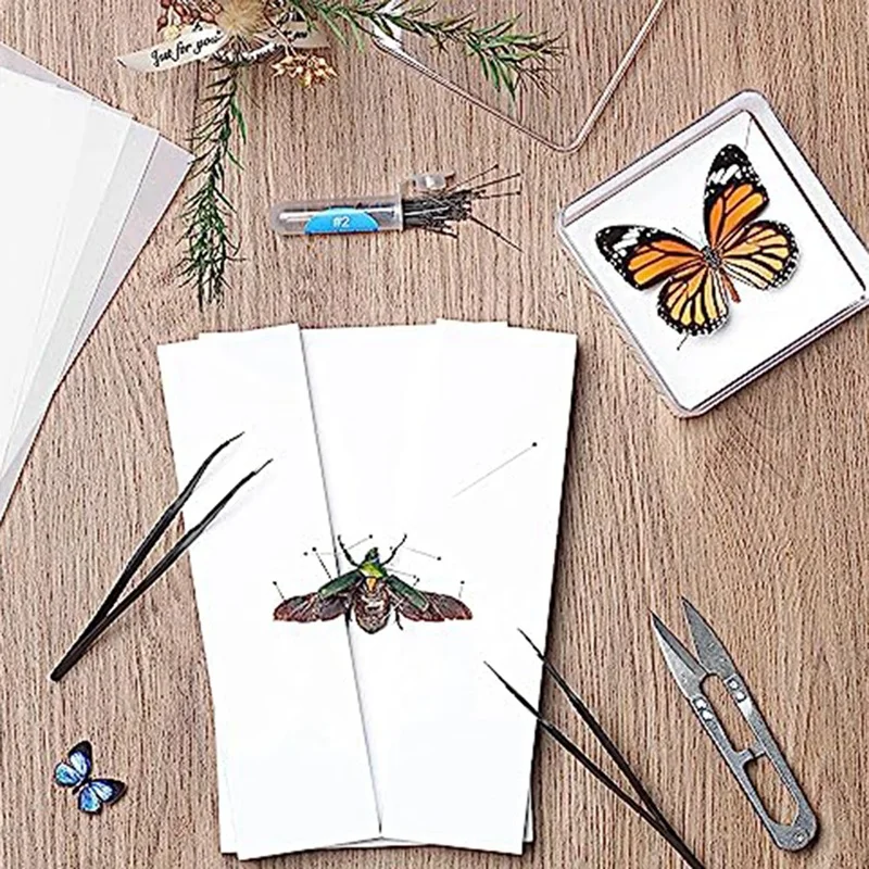 Making Insect Specimen Tools Kit,Insect Pins,Insect Pinning Board, Wings Pressing Paper,Tweezers, Scissors, Display Case