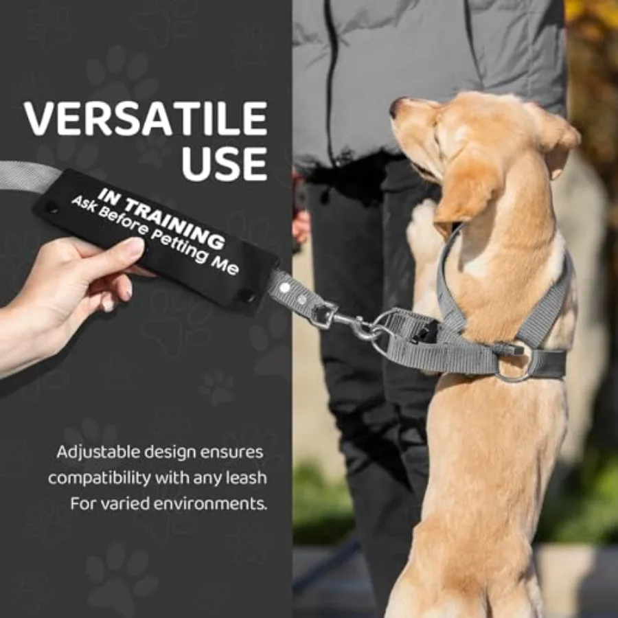 في التدريب اسأل قبل التبولني مقود الحيوانات الأليفة للكلاب مضحك الكلب المقود التفاف لعشاق الكلاب الحيوانات الأليفة أصحاب هدية سوداء