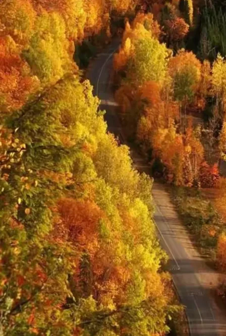 

Контроллер полета Flywoo GOKU F722 Pro Mini V2 20x20 — Plug-and-Play для O4/O4 Pro FPV