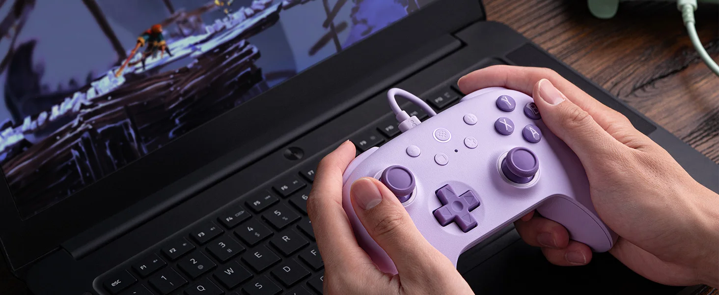 8BitDo Ultimate 2C Kabelgebundener Controller mit Hall-Effekt-Joysticks für Windows und Android, Kabelgebundenes Gaming mit 1000Hz Abfragerate – Detail 8
