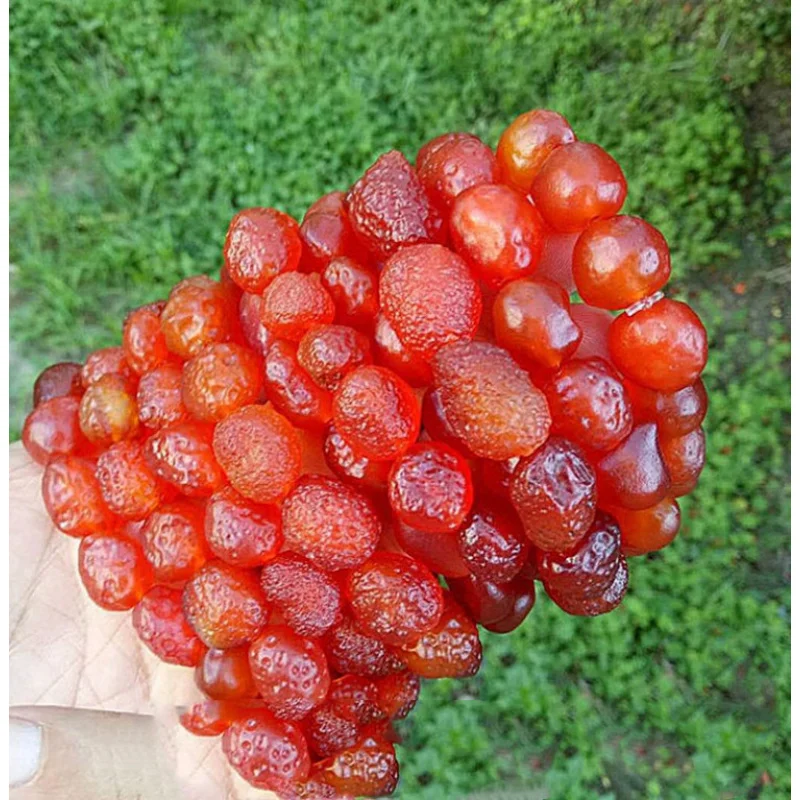 Factory Price Supply Alashan Raisin Rough Stone Cherry Red Sugar Heart Agate Bracelet