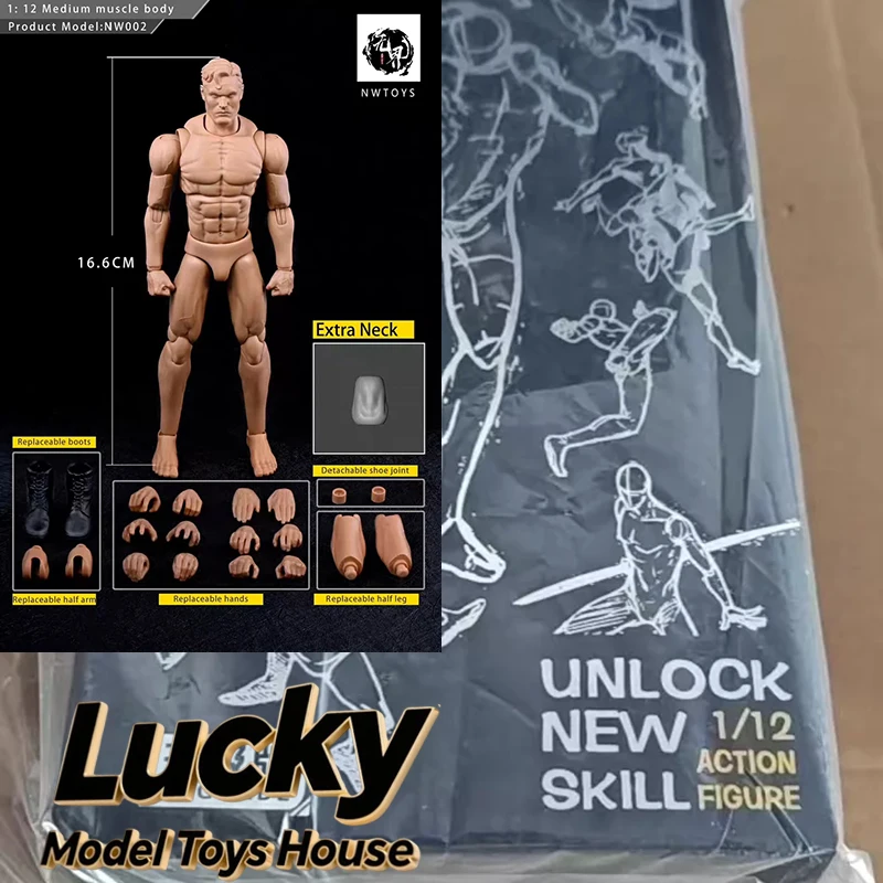 

Быстрая доставка: NWTOYS NW002, модель мускулистого тела в масштабе 1/12, аксессуар для 6-дюймовых фигурок, для самостоятельной декорации.