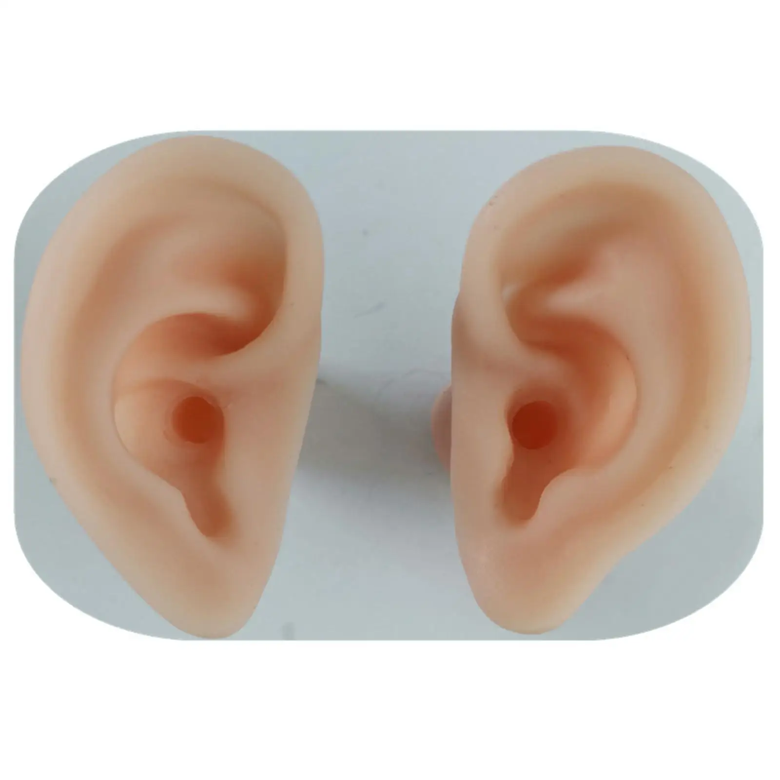Silicone Ear Model 1:1 Props Teaching Aids Flexible for Teaching
