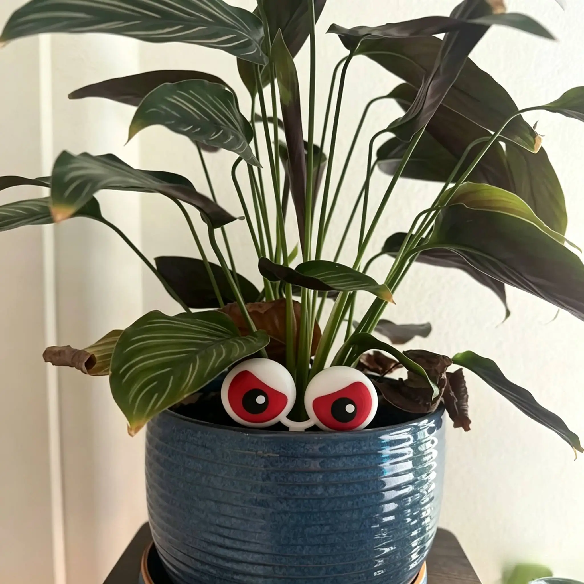 Angry Eye Plant Pot – Funny 3D Succulent Planter for Indoor/Outdoor Balcony Garden, Halloween Desk Decor & Creative Gift