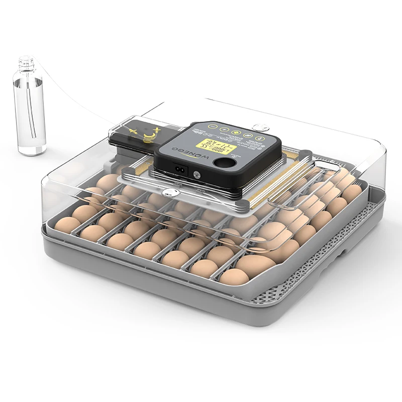 Automatic Humidity Control 48  Fully Automatic Solar Hatching Machine