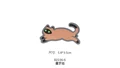 Siamese Cat