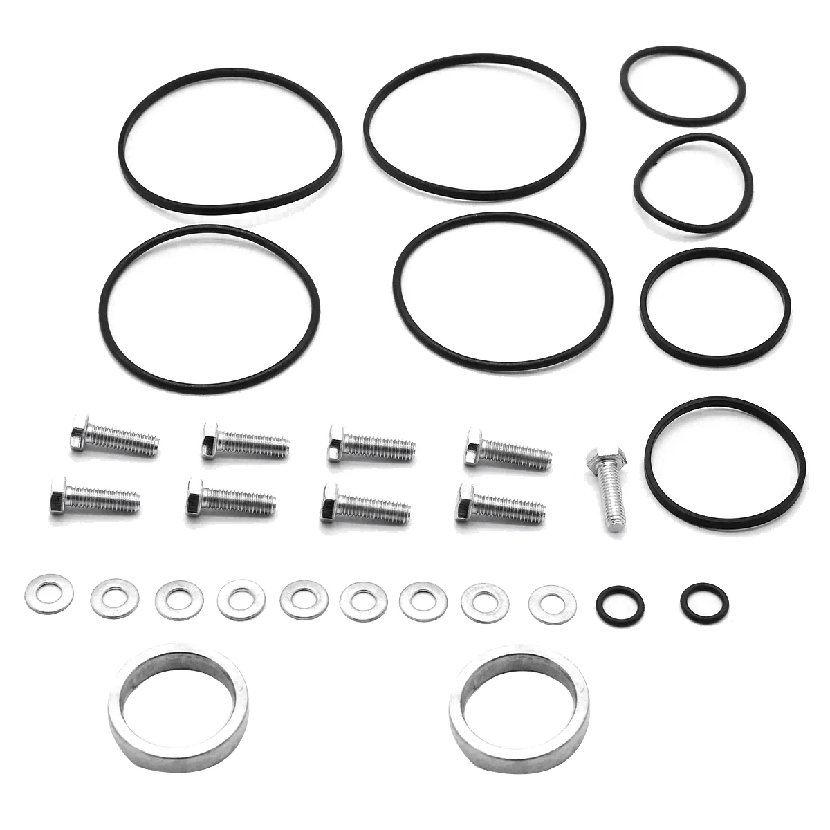 Twin Double Dual Seals Repair Kit for BMW Vanos M52TU M54 M56 Rattle Rings 11361440142 Car Accesorios