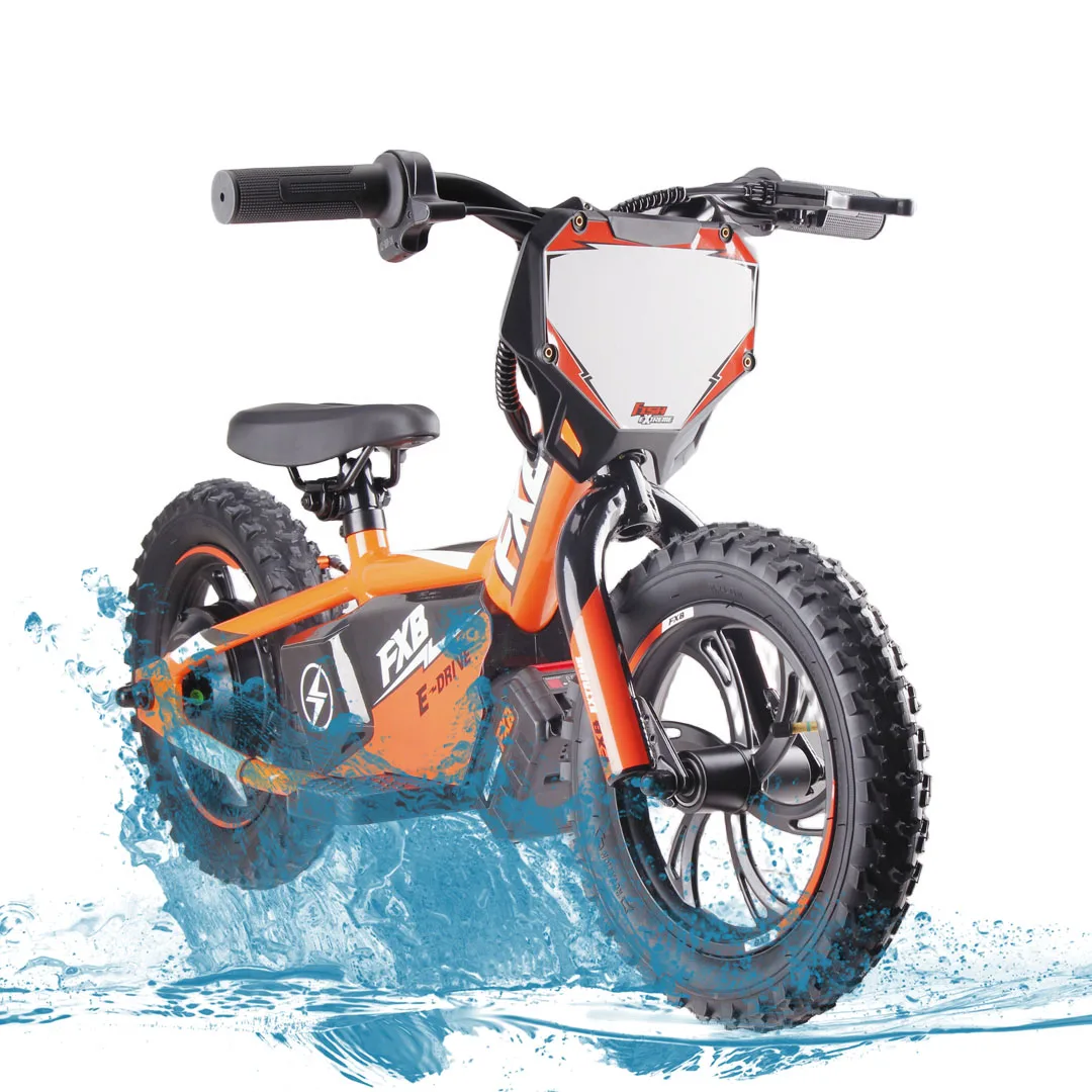 

New Design 12inch Children Electric Balance Bike Aluminum Frame Balance Electric Bicycle for Kids FISH Steel Monocycle Electric