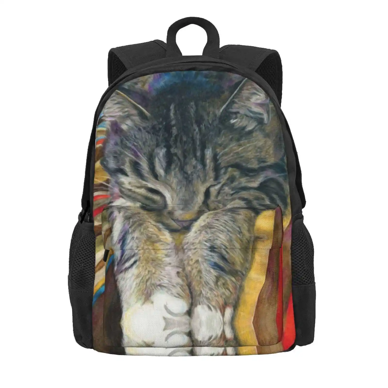 Sleeping Tabby Cat On Colorful Stripes Hot Sale Schoolbag Backpack Fashion Bags Tabby Cat Sleeping Cat Napping Cat Crazy Cat