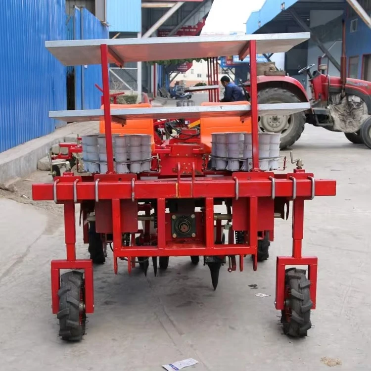 Hot Export Onion Planting Machine / Vegetable Planter / Vegetable Transplanter