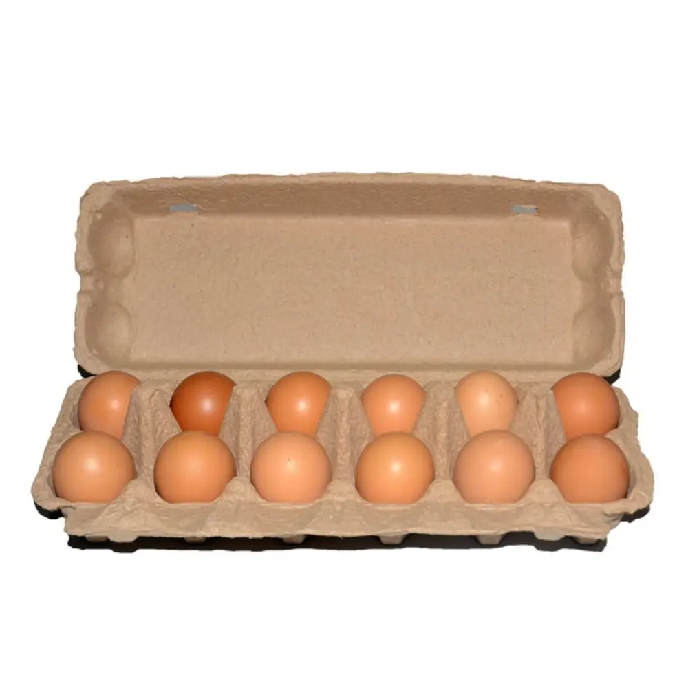 3PCS Egg Holder Cartons Holds Up to 6/12 Eggs 6 Cells 12 Cells Countertop Blank Natural Pulp Egg