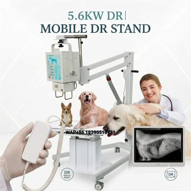 Competitively priced wired portable 5.6KW veterinary X-ray machine, lightweight design, suitable for mobile veterinary services