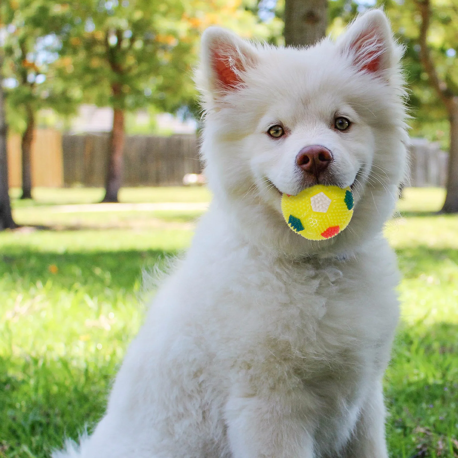 

4 pcs Luminous Massage Ball Spiky Squeaky Dog Glow Bouncing Ball For Pets Adults Teens Durable Rubber Play Fetch Training