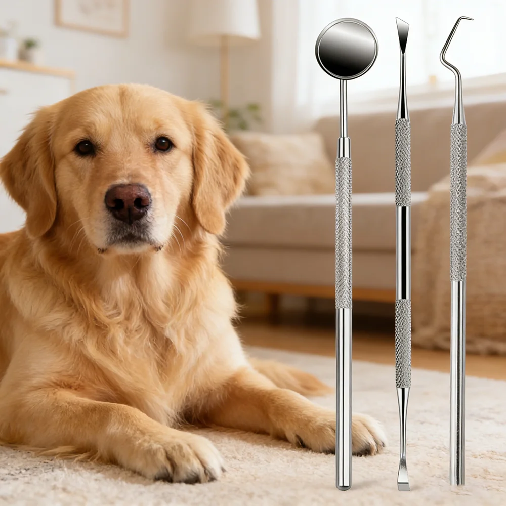 Anti-rust Stainless Steel Pet Tool Set, Reusable Teeth Clean
