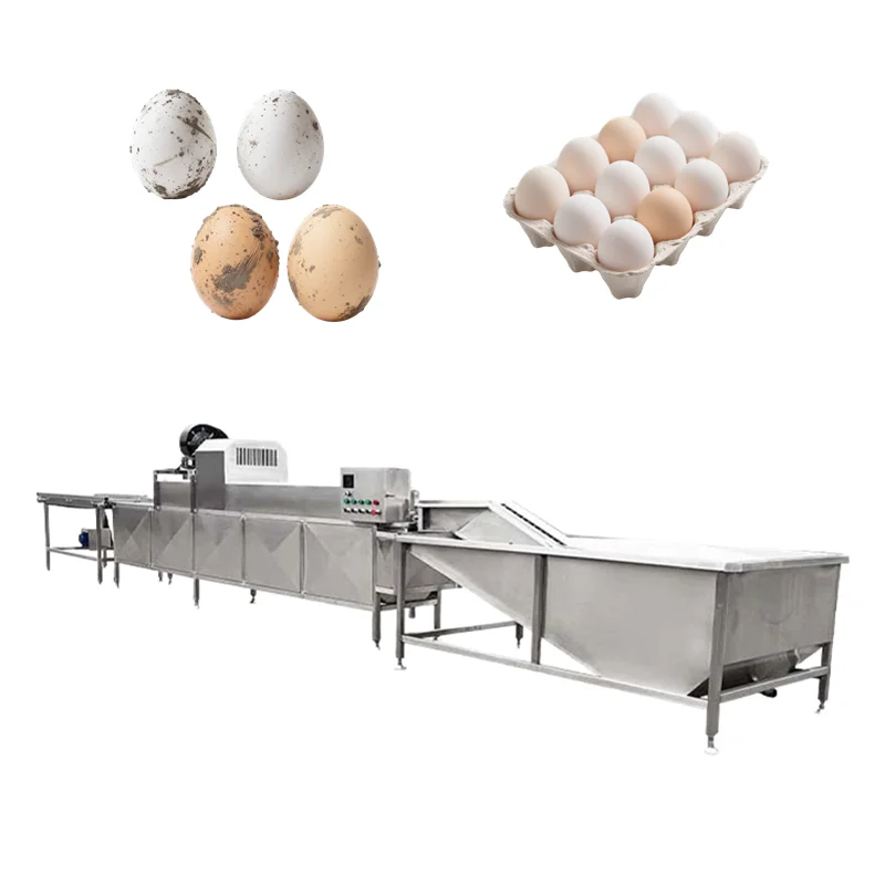 FOODLINE Customized Efficiency Eggs/hour Washer Machine Quail Goose Duck Chicken Egg Washing and Drying Machine