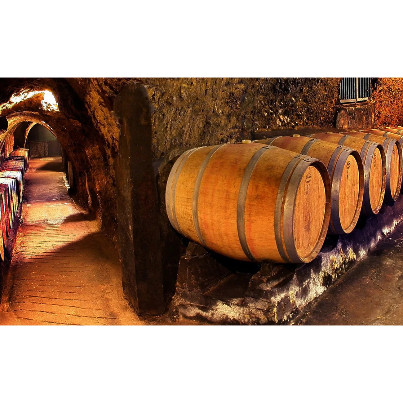 Wine Cellar Backdrop Bar Club Background Vintage Barn Oak Barrel Western Cowboy Underground Storage Room Oktoberfest Party Decor