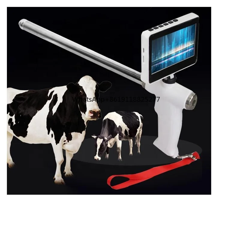 Cow Cattle Sheep Goat Ovine Artifical Insemination Gun In Farm Insemination Monitor Technology TCI Machine