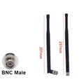 BNC Male