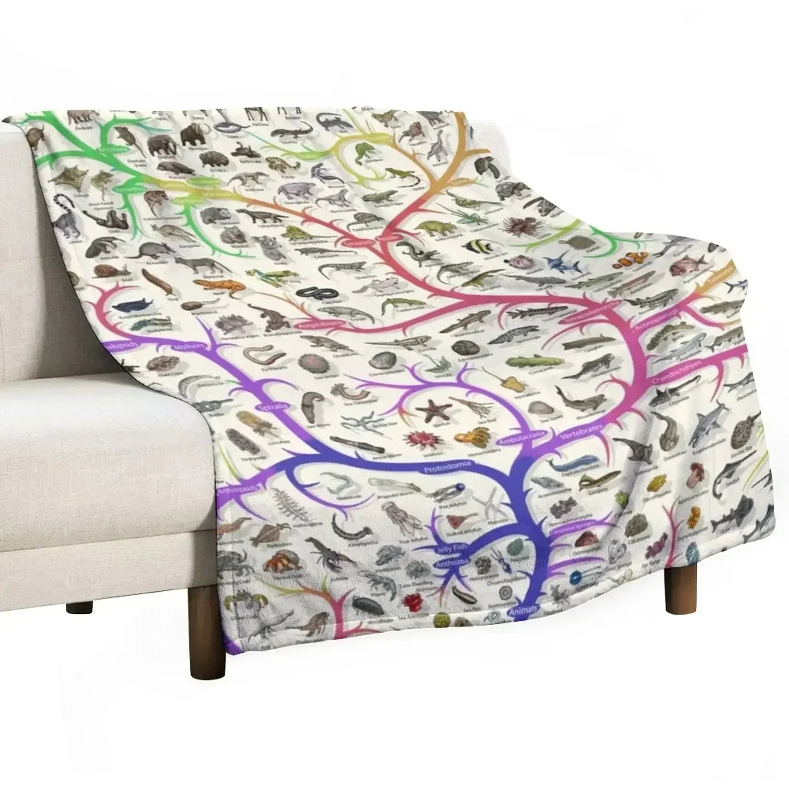 Animal Tree of Life Poster - Evolution - Colour (English Annotations) Throw Blanket wednesday Travel Summer Blankets