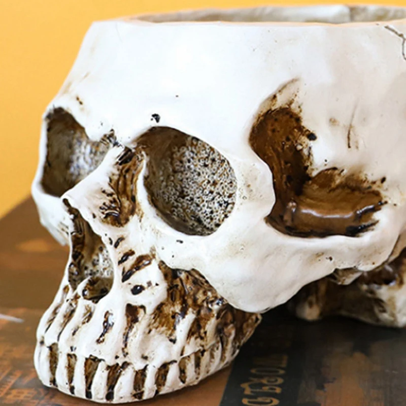 Resin Human Skull Model Flowerpot Workmanship Skull Planter Pot Attractive Multifunctional for Home A-ABVK