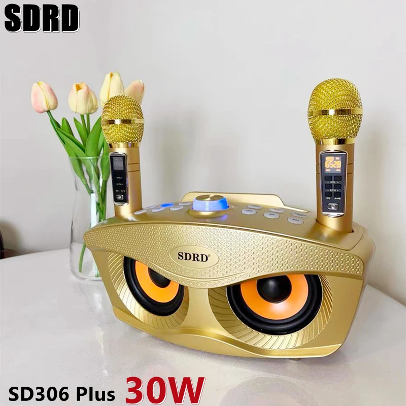 

High Quality Family KTV SD306 Plus 2-in-1 Portable Karaoke Wireless Speaker Karaoke Singing Music Speaker Machine With Dual Mic