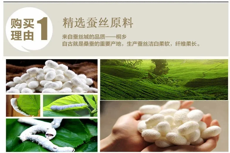 Can Be Customized 100% Mulberry Silk Comforter Filling Without Quilt Cover Choose Different Weight In Different Seasons