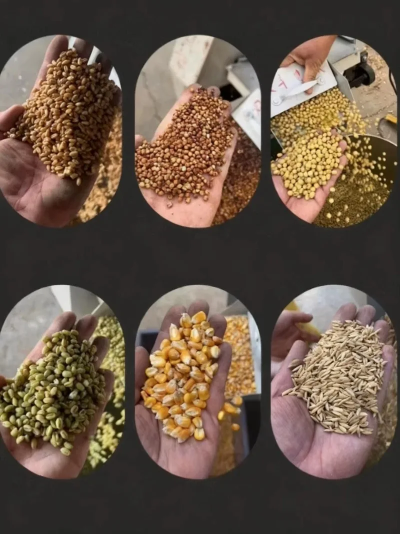 Hot Sale Grain Gravity Separator Machine Seeds Cleaning Sorting Machine Corn Soybean Wheat Seed Cleaner Precision Equipment