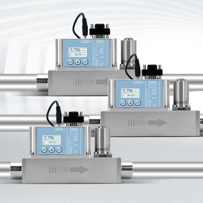 Misuratore di portata digitale per gas micro termico per misurazione del flusso di gas naturale Co2 GPL Azoto