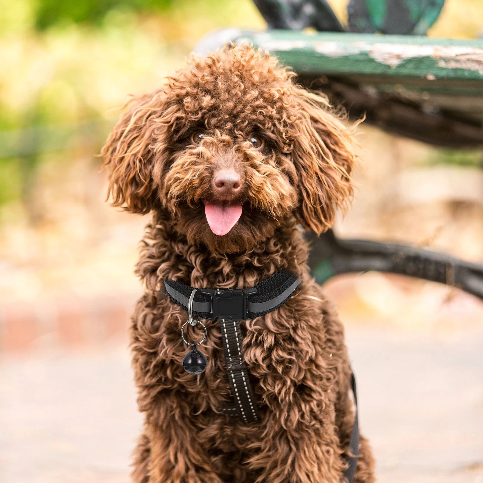 

5Pcs Reflective Collar for Cats Lightweight Portable Outdoor Decorative Reusable Adjustable Pet Size Cat Kitten Dog