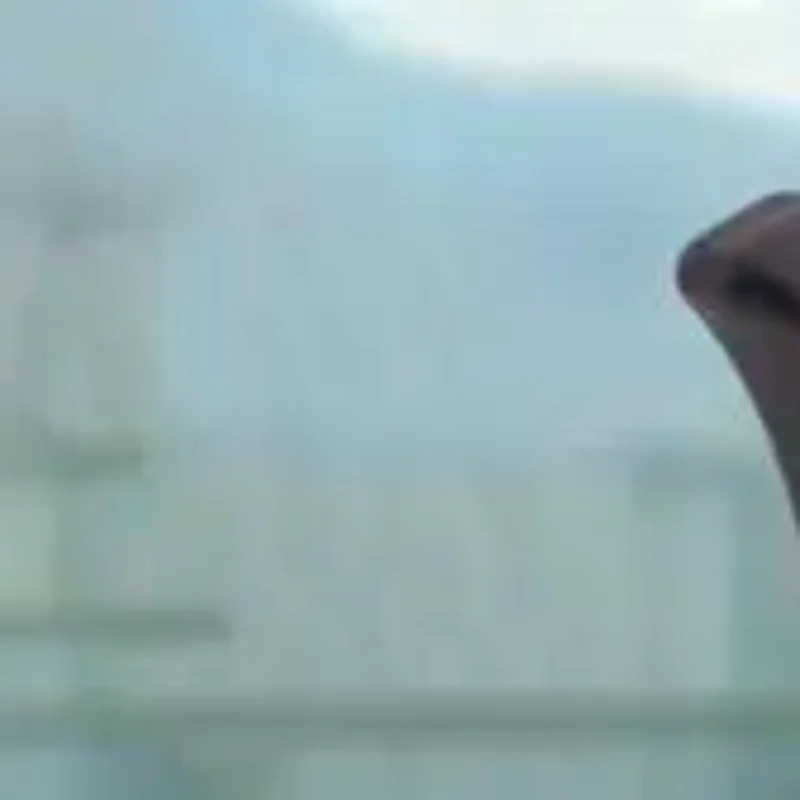 

Garden Tools Cultivator Weeding Tool With Ergonomic Handle For Lawn Garden Farm Transplanting For Gardening Bonsai Tools