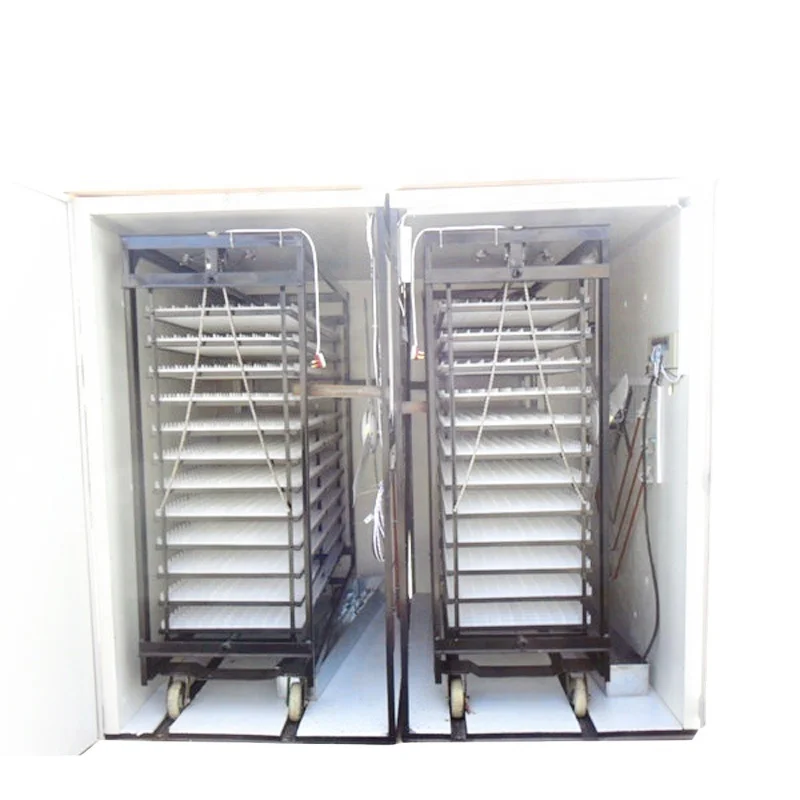 

Large Capacity 9856 Eggs Chicken Poultry Farm Big Incubator Controller Board In Botswana
