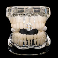 RACHELZ Hip Hop Single Dollar Shape Teeth Grill 14K Gold Plated Zircon Tooth Caps Decor Dental Grills For Women Men Jewelry