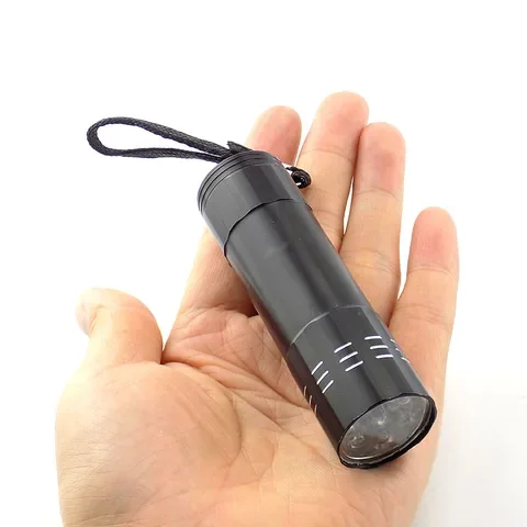 Mini Flashlight with AAA Battery, Portable Keychain Light, Small Pocket Torch, High Power Lamp for Camping, 9 LED