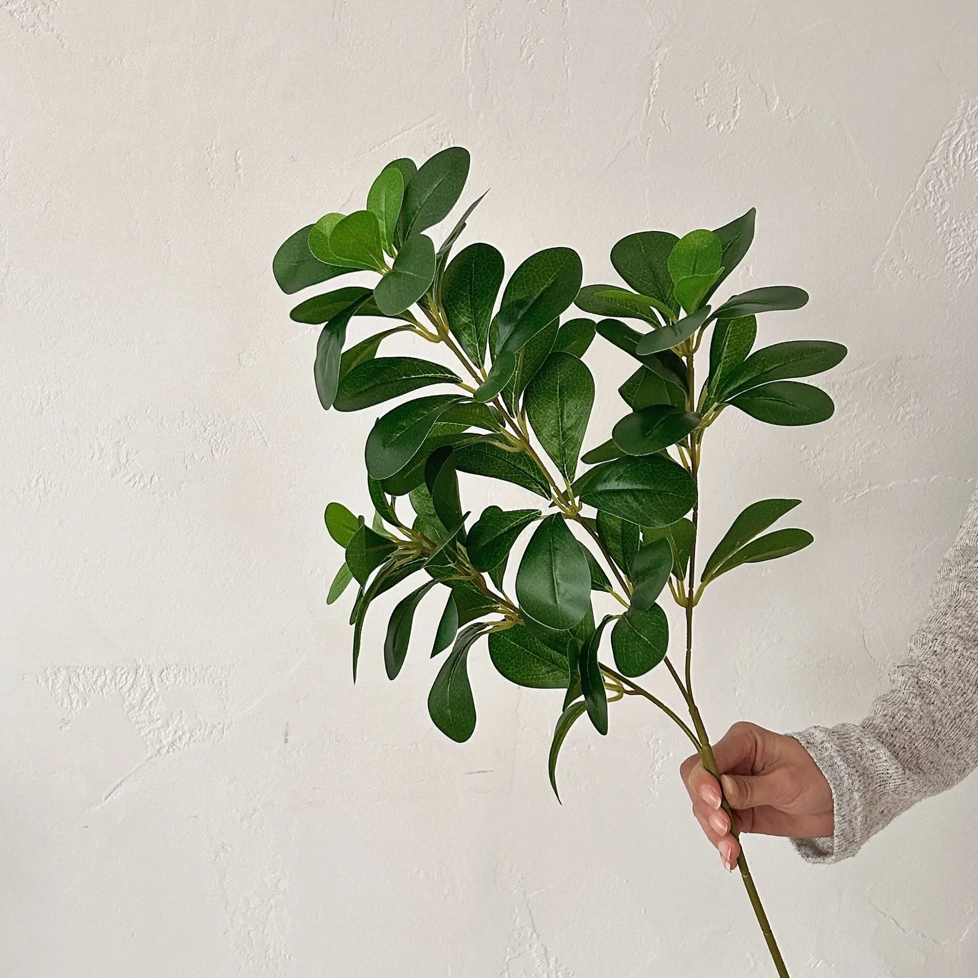 Bendable Washable Artificial Polyscias Leaves, Fake Greenery for Forest Style Wedding Home Hotel Landscape Photography Decor