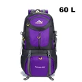60L purple
