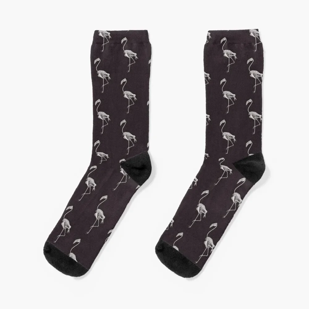 Flamingo Skeleton: Bird Halloween Animal Anatomy Socks Sports New year's Designer Man Socks Women's