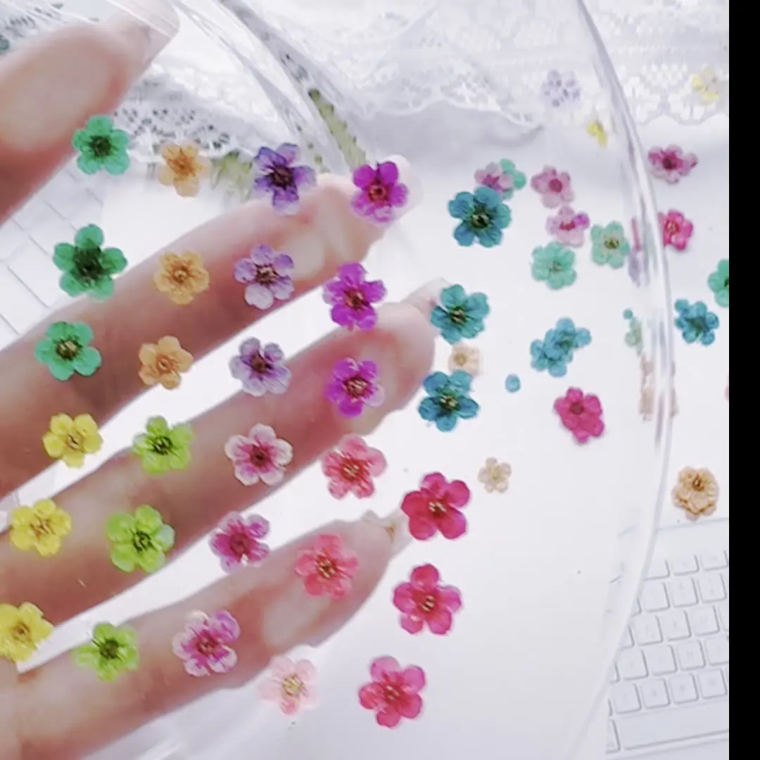 

Plant Specimens, Dried Flowers, Real Flowers, Resin Jewelry, DIY Small Plum Blossoms, Small Daffodils, Pearl Plum Pressed Flowers, Nail Art, Beauty Pressed Flowers, Photo Frame