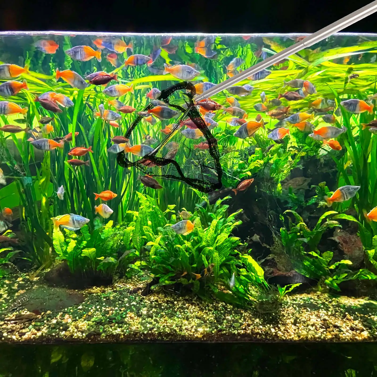 

1Pcs Telescopic Shrimp Fishing Net Retractable Stainless Steel Fish Landing Net Compact Folding Outdoor Fishing Tool