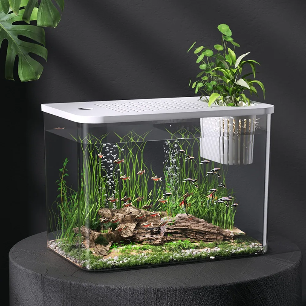 

New PET+ABS Fish Tank Transparent with Lid Turtle Tank Drop Resistant Hydroponic Tank Ecological Water Tank Home