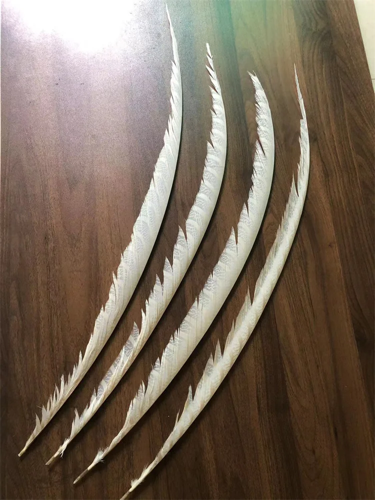 5 pz 80-90CM bianco Zebra fagiano code piuma naturale Super lungo signora Amherst fagiano Plumes carnevale Backpieces fare Pluma