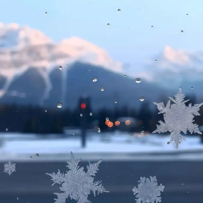 Gebruikt Voor FeiShen FS 1/8 TANK, SHARKS, Cheetah, ATOM, Leopard, Thunder, RC Auto Onderdelen Metalen Upgrade Front Upper Swing Arm