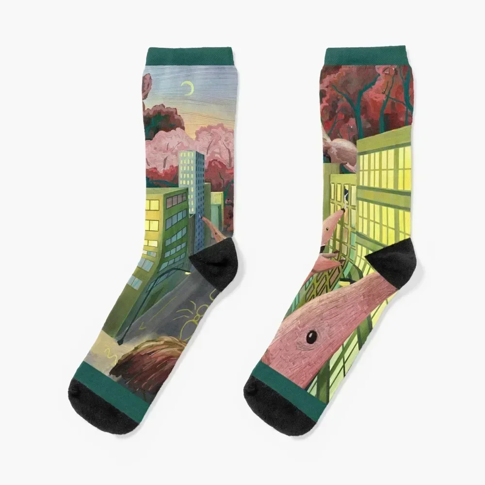 

Age of Anteaters Socks moving stockings Argentina winter gifts compression Women Socks Men's