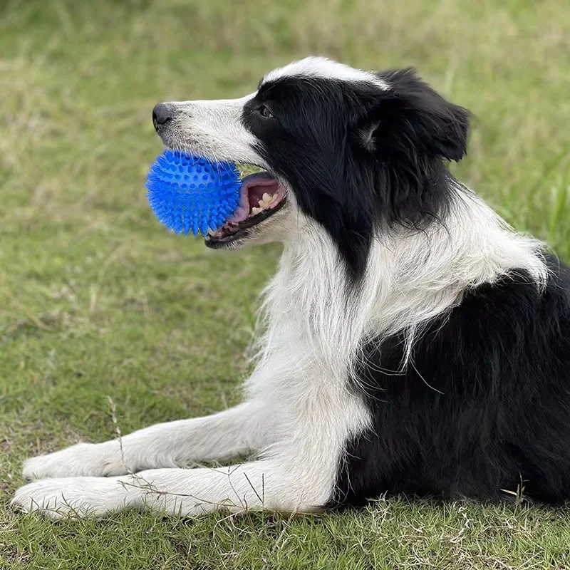 Thumbnail 4 - #32 Trending Dog Balls Right Now
